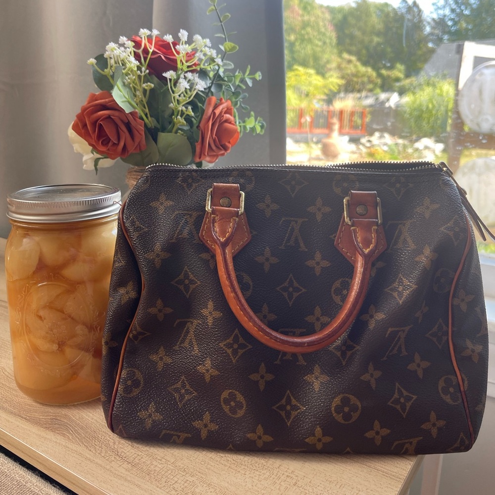 Louis Vuitton small purse.